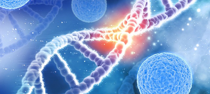 Cell and Gene Therapy CGT Cell and Gene Therapy CGT
