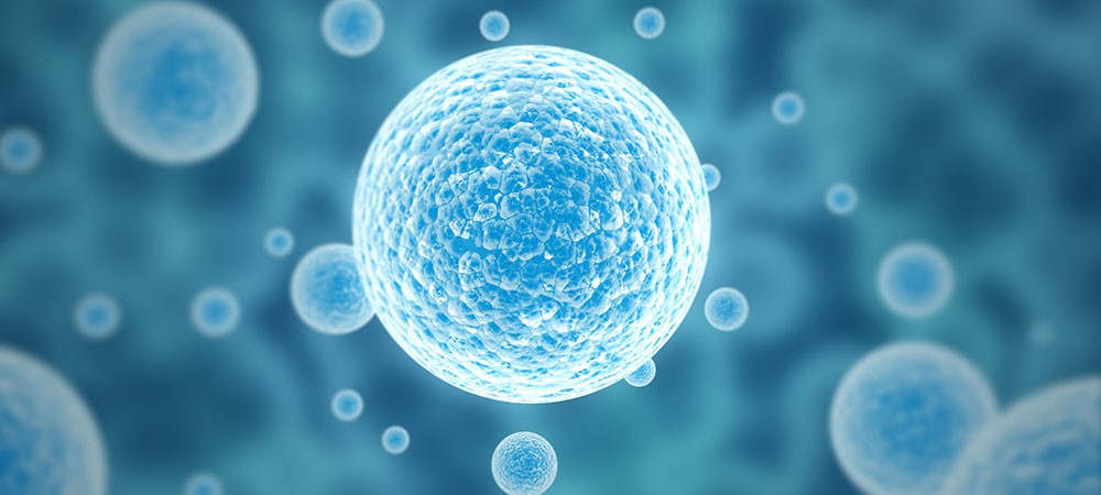 Classical cell culture medium1