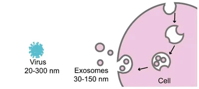 2025-12-12133700937 2025-12-12133700937