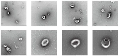 2025-12-12 140600 2025-12-12 140600