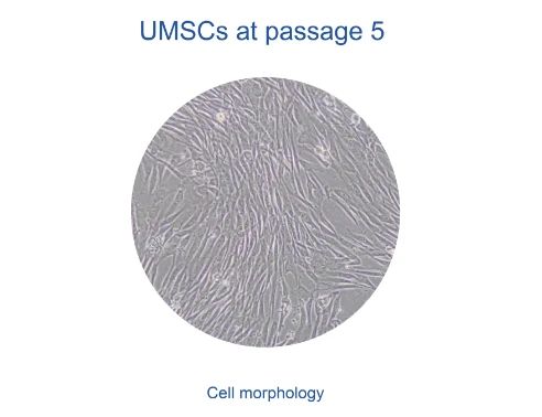 2026-01-06 103631 2026-01-06 103631