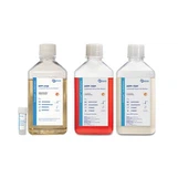 HIPP Series Serum-Free Media For Immune Cell Culture